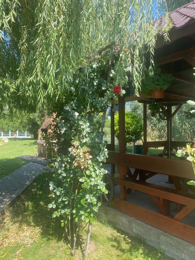 Pensiunea Califar Dunavăţu de Jos Exteriör bild